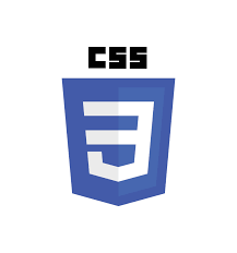 CSS logo